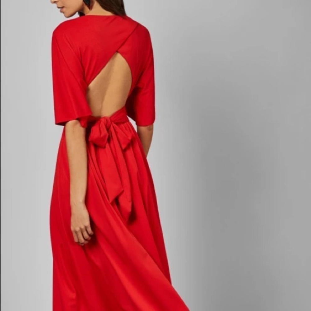 NWT Ted Baker Long Dress